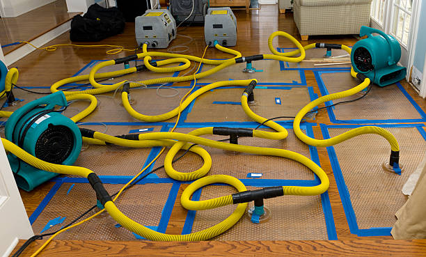 Professional Basement Flood Cleanup technician working in Kingsville, OH